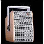 Celto Acoustique IFIX6 NAT 6.5" Passive Installation Loudspeaker