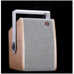 Celto Acoustique IFIX6 NAT 6.5" Passive Installation Loudspeaker