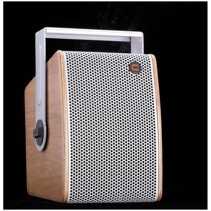 Celto Acoustique IFIX6 NAT 6.5" Passive Installation Loudspeaker