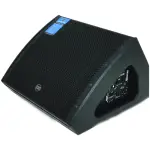 PowerWorks ARTEMIS 12PM Active Speaker