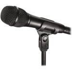 Audio-Technica AT2010 Cardioid Condenser Handheld Microphone - Image 2