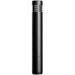 Audio-Technica AT2031 Cardioid Condenser Microphone