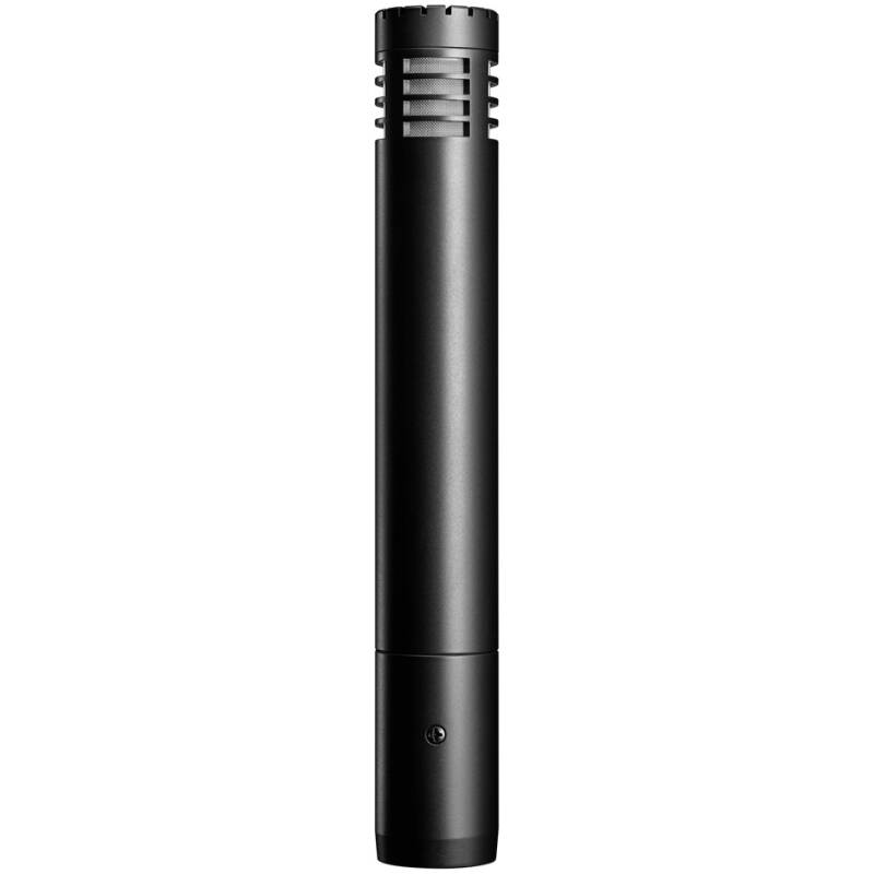 Audio-Technica AT2031 Cardioid Condenser Microphone