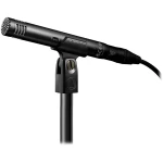 Audio-Technica AT2031 Cardioid Condenser Microphone - Image 2