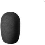 Audio-Technica AT2031 Cardioid Condenser Microphone - Image 4