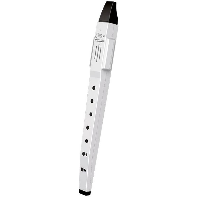 CARRY-ON-DWI-WT Digital Wind Instrument White