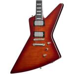 Epiphone EIXTY-ABT Extura Prophecy Aged Bengal Tiger Burst+Bag - Image 2