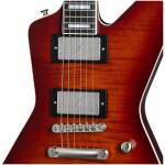 Epiphone EIXTY-ABT Extura Prophecy Aged Bengal Tiger Burst+Bag - Image 3