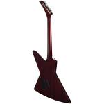 Epiphone EIXTY-ABT Extura Prophecy Aged Bengal Tiger Burst+Bag - Image 5