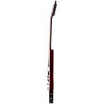 Epiphone EIXTY-ABT Extura Prophecy Aged Bengal Tiger Burst+Bag - Image 4