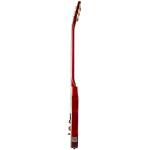 EPIPHONE ENNW-FB Nancy Wilson Fanatic Fireburst+ Case - Image 4