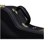 Epiphone 940-EBICS Black Dobro Guitar Hard Case - Image 3