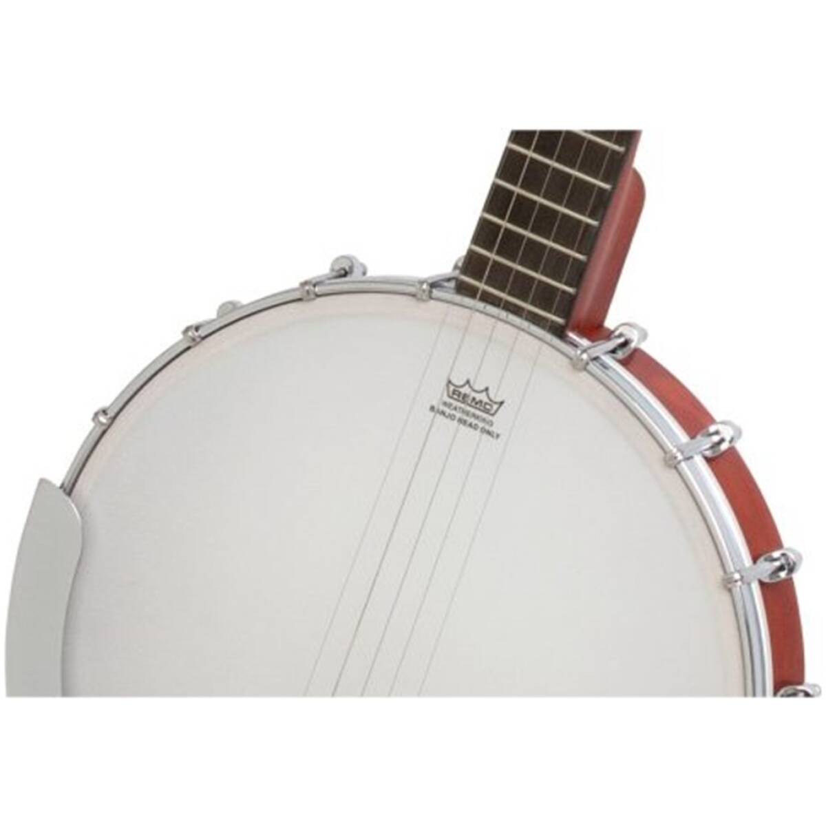Epiphone EFB0-NA MB-100 Banjo Natural - Image 2