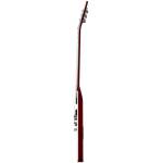 Epiphone EIFVY-ABT Flying V Prophecy Aged Bengal Tiger Burst - Image 3