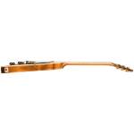 Gibson LPS5P00-GT Les Paul Std 50s Plain Top Gold +Case - Image 4