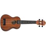 Epiphone EUEL-NS EpiLani Soprano Ukulele - Image 4
