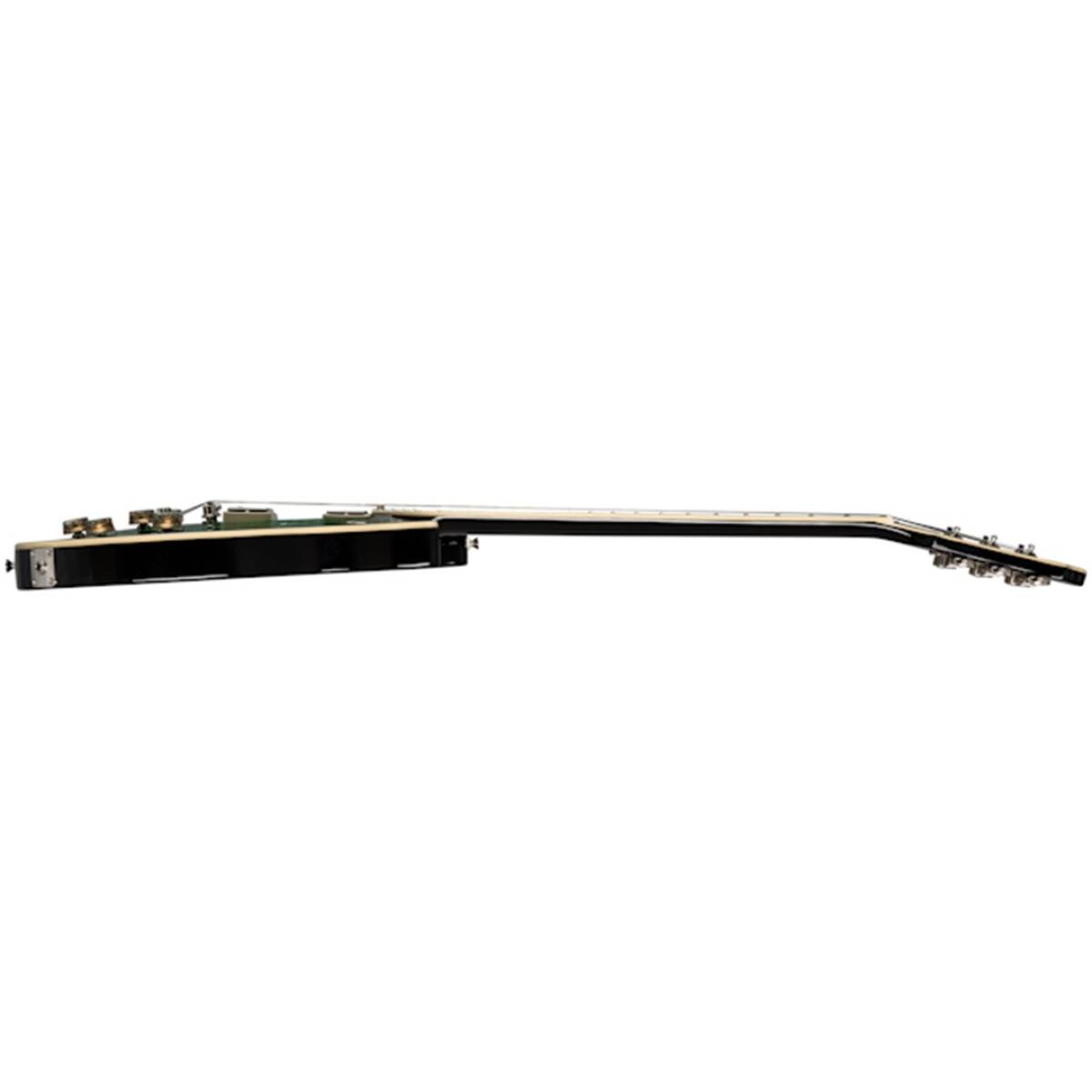 Epiphone ENG2-WI DC PRO Wild Ivy - Image 6