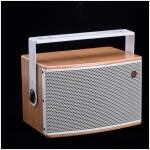 Celto Acoustique IFIX7 Passive 7" Installation Loudspeaker