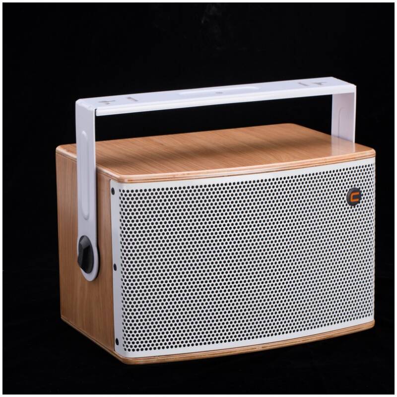Celto Acoustique IFIX7 Passive 7" Installation Loudspeaker