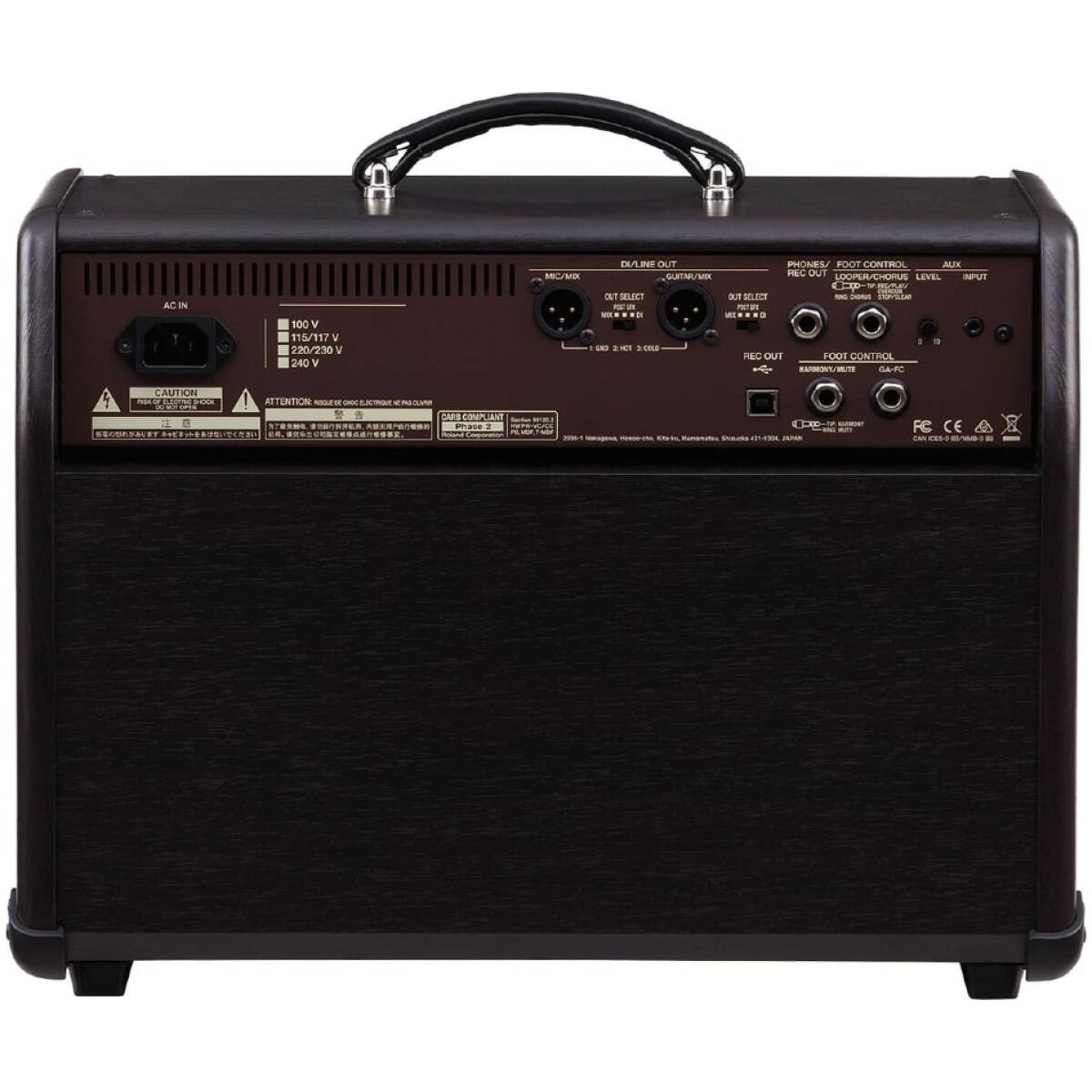 Boss Acoustic Singer Pro Acoustic Guitar Amplifier - Image 3