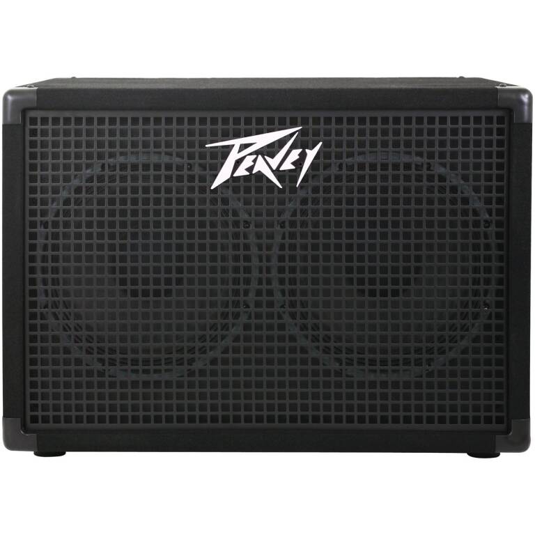 PEAVEY 2 X10"