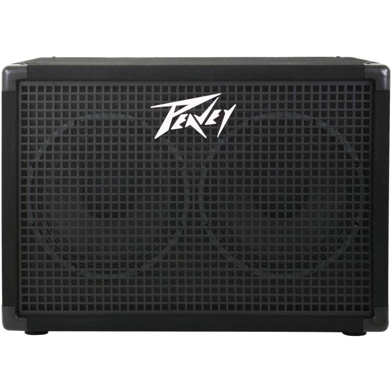 PEAVEY 2 X10"