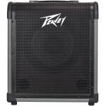 MAX® 100 100-Watt Bass Amp Combo