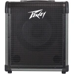 MAX® 100 100-Watt Bass Amp Combo