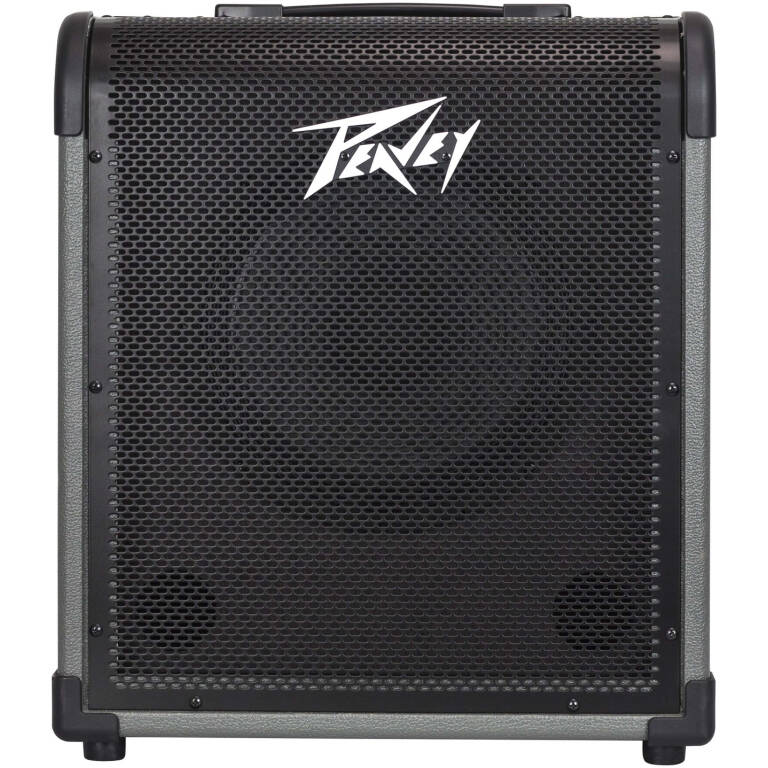 MAX® 100 100-Watt Bass Amp Combo
