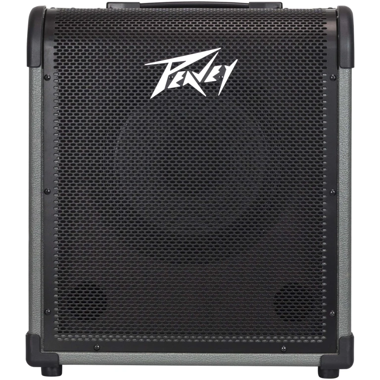 MAX® 100 100-Watt Bass Amp Combo