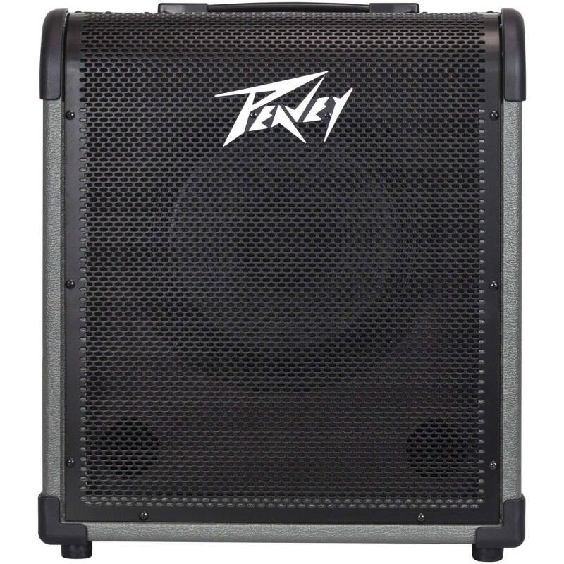MAX® 100 100-Watt Bass Amp Combo
