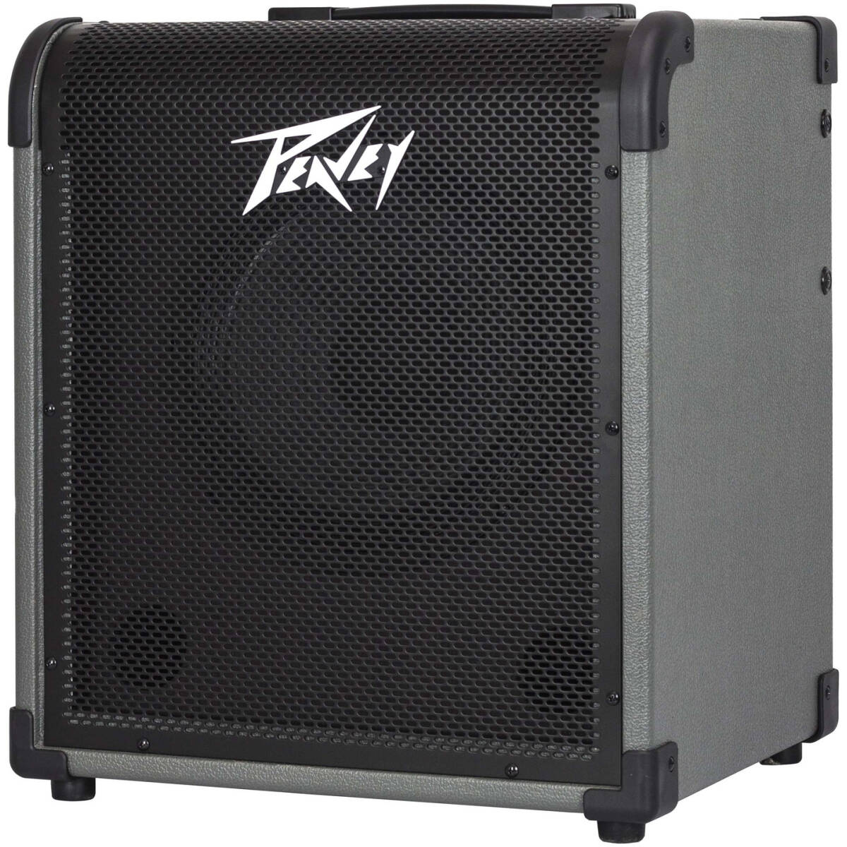 MAX® 100 100-Watt Bass Amp Combo