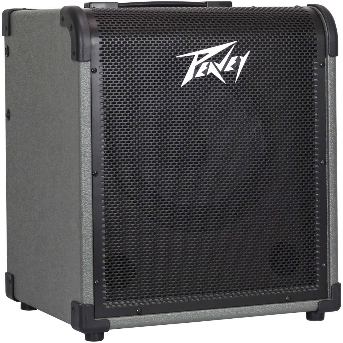 MAX® 100 100-Watt Bass Amp Combo