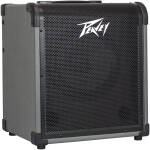 MAX® 100 100-Watt Bass Amp Combo