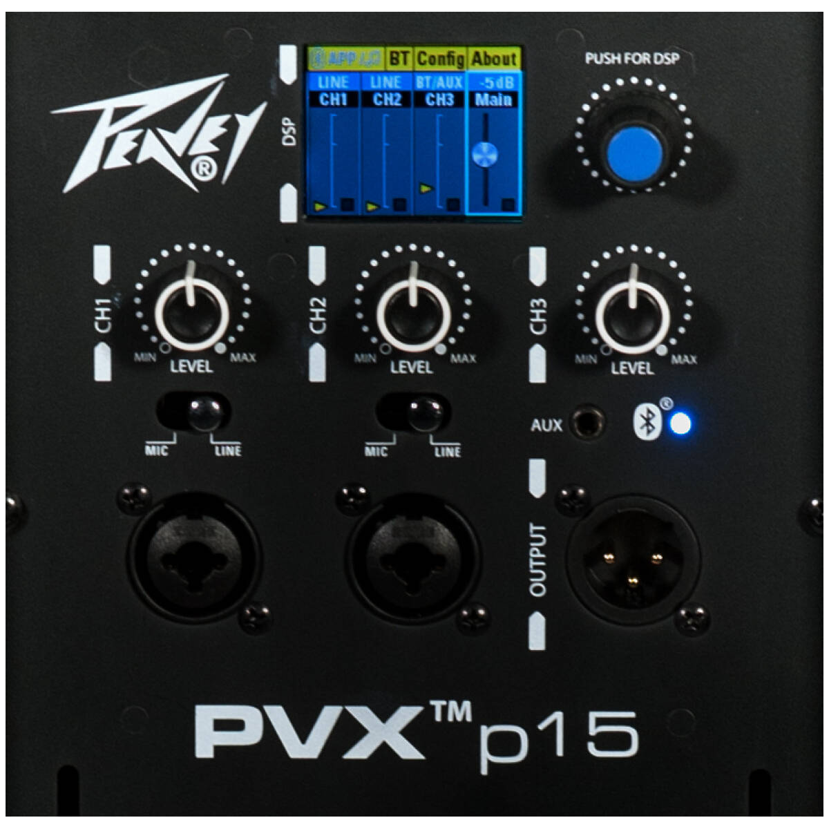 PEAVEY PVXP 15-230EU