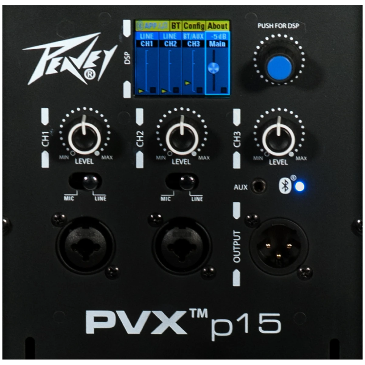 Peavey PVXp™ 15 15-inch Powered Loudspeaker - A1 Sound