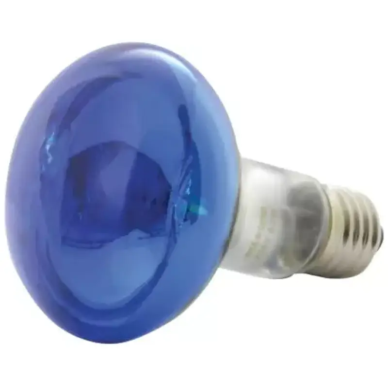 Qtx R80 - B Coloured Reflector Lamp Blue E27