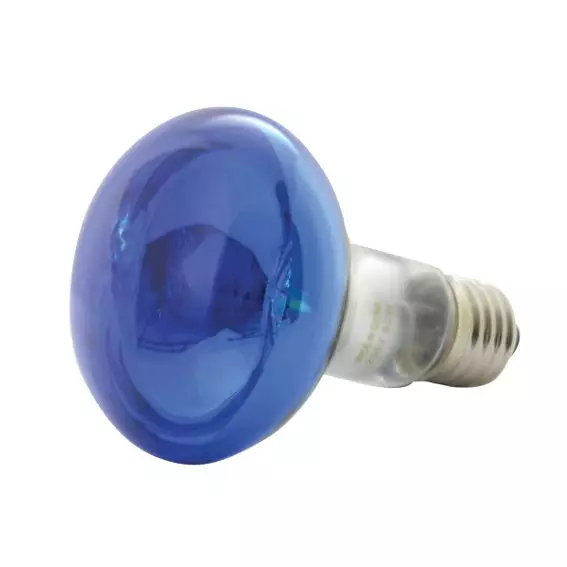 160.003QX Qtx R80 - B Coloured Reflector Lamp Blue E27 - Image 1