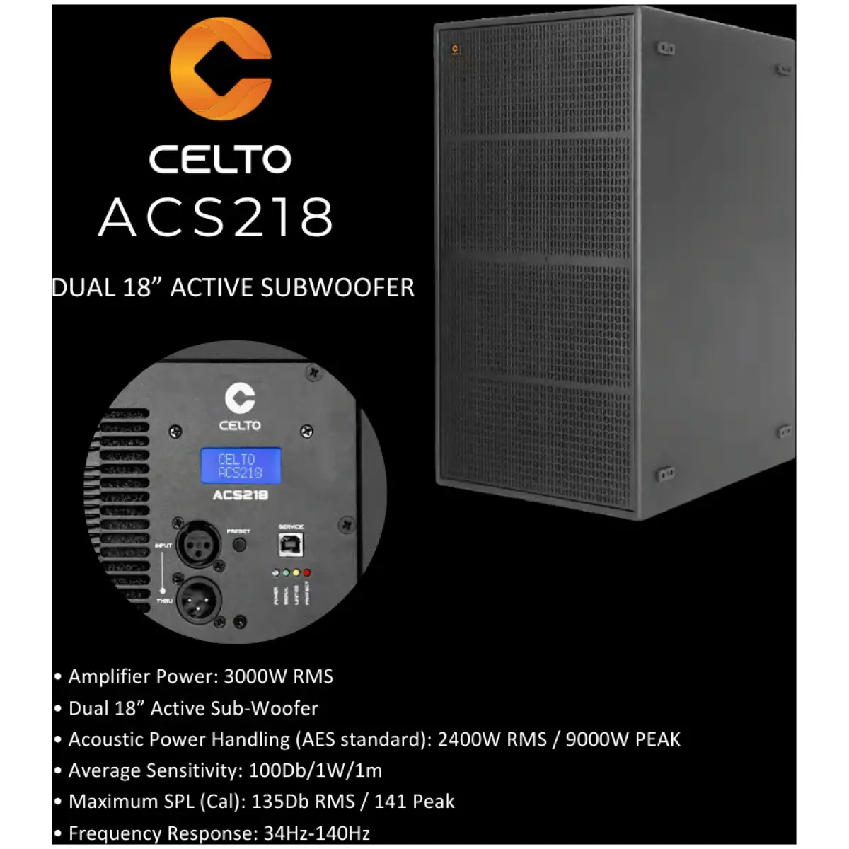 Celto Acoustique ACS Combo