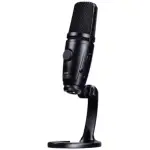 Jts Js - 1PPLUS USB DUAL CAPSULE CONDENSER STUDIO MICROPHONE WITH SWITCH BLACK