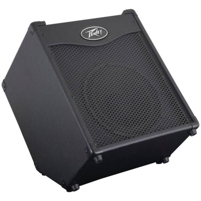 PEAVEY MAX110