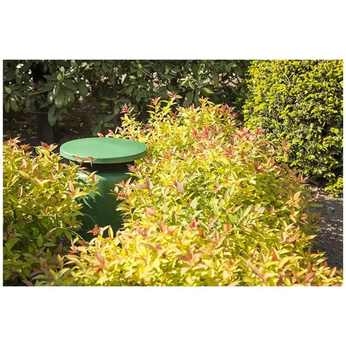 Power Dynamics - GS530 100V Weatherproof Garden Speaker 5.25IN IPX5 30W - Image 4