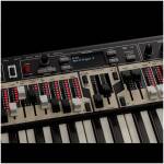 NORD ORGAN 3 2x61 Key Combo Organ - Image 4