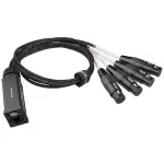 Roxtone - Cat Snake Splitter, 4 Channel Xlr Female To Ethercon Network Cable