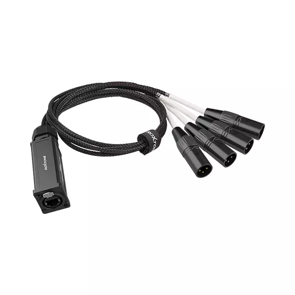 PS4M_1 Roxtone - Cat Snake Splitter 4 Channel Xlr Male To Ethercon Network Cable - Image 1