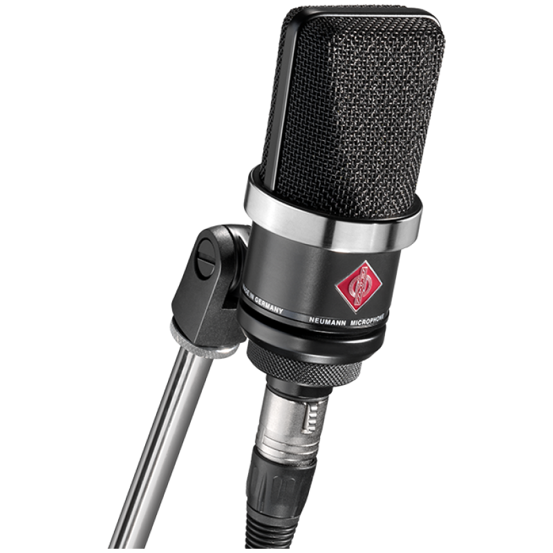 Neumann TLM 102 Large Diaphragm Microphone