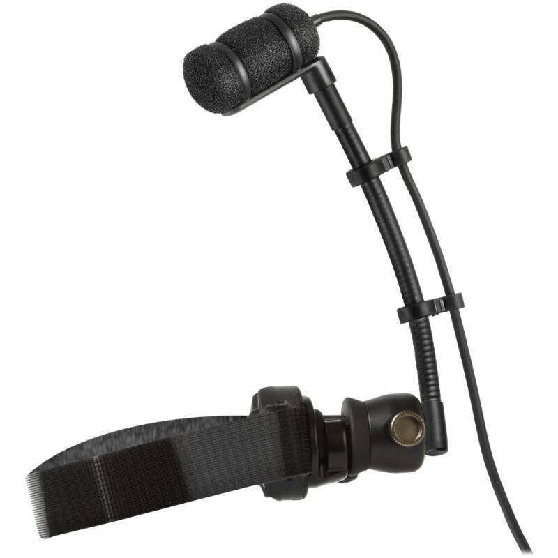 Audio-Technica ATM350W Microphone with Woodwind Mounting System