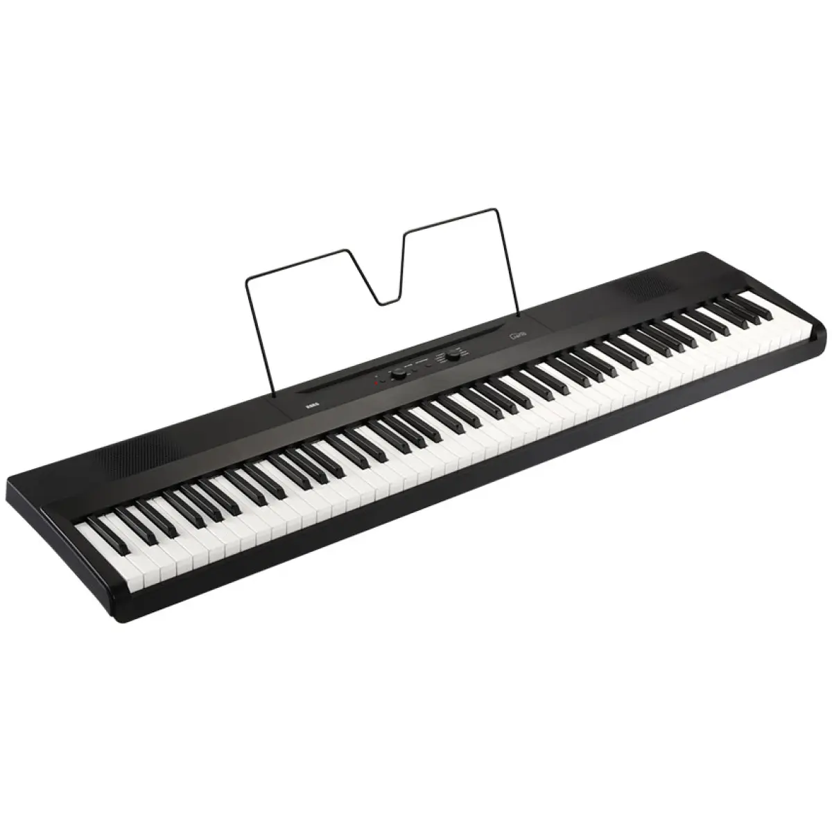 Korg Electronic Piano L1 Piano - Image 3
