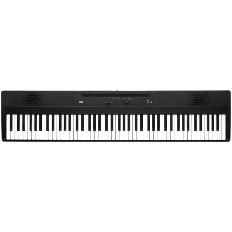 Korg Electronic Piano L1 Piano