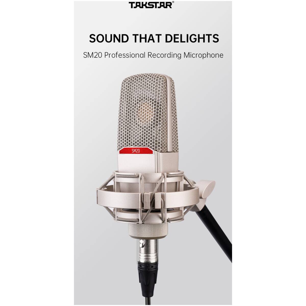 Takstar SM20 Professional Recording Microphone - Image 6